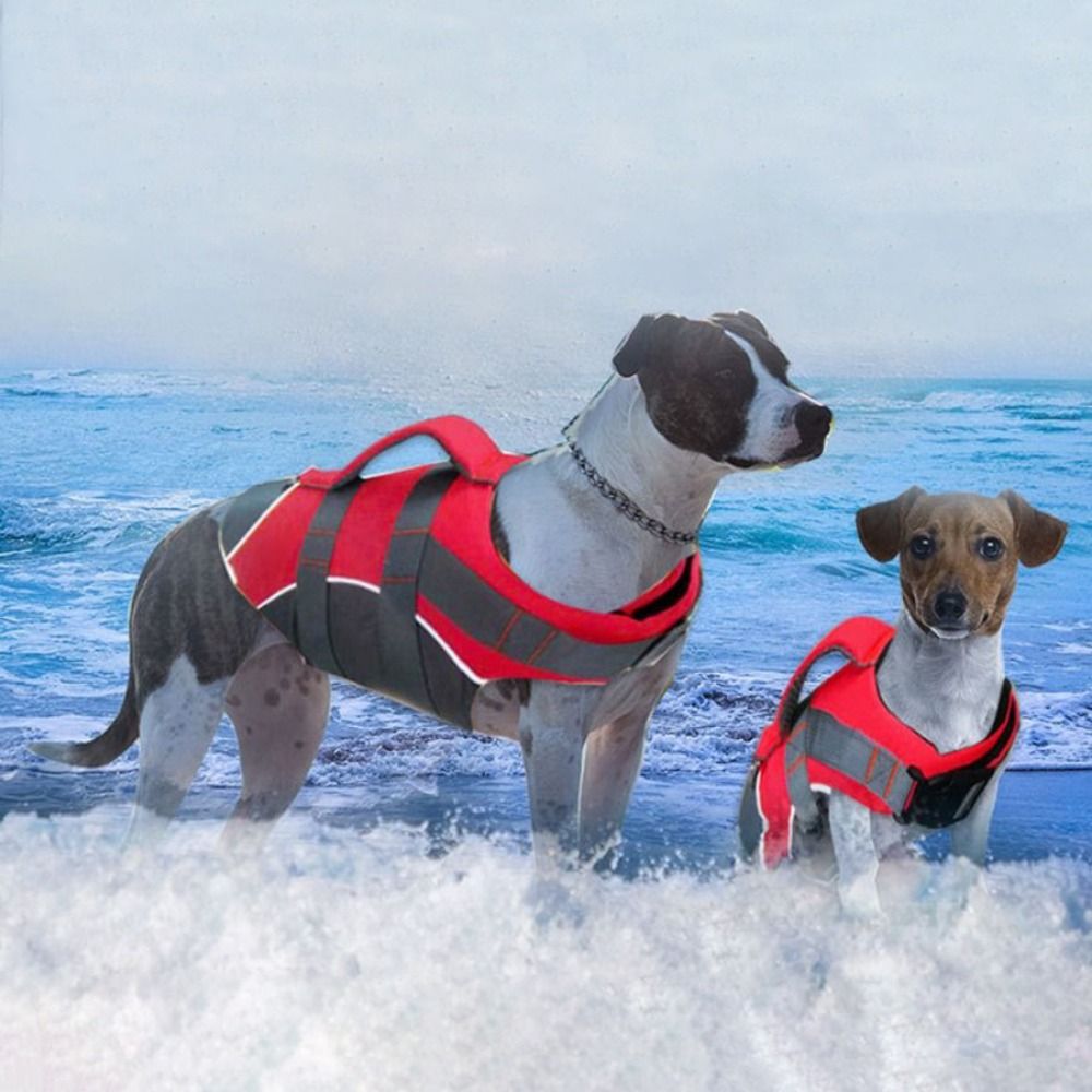 Kamizelka ratunkowa dla psa od – Life Jacket Buoyancy recenzja i cena